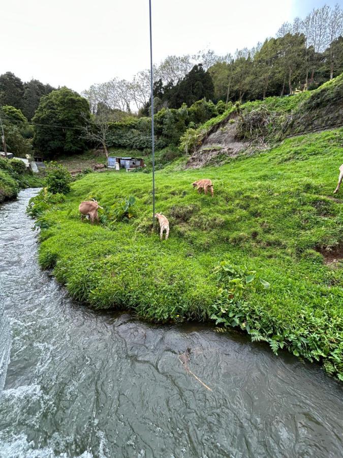 B&c Furnas House Furnas (Azores)